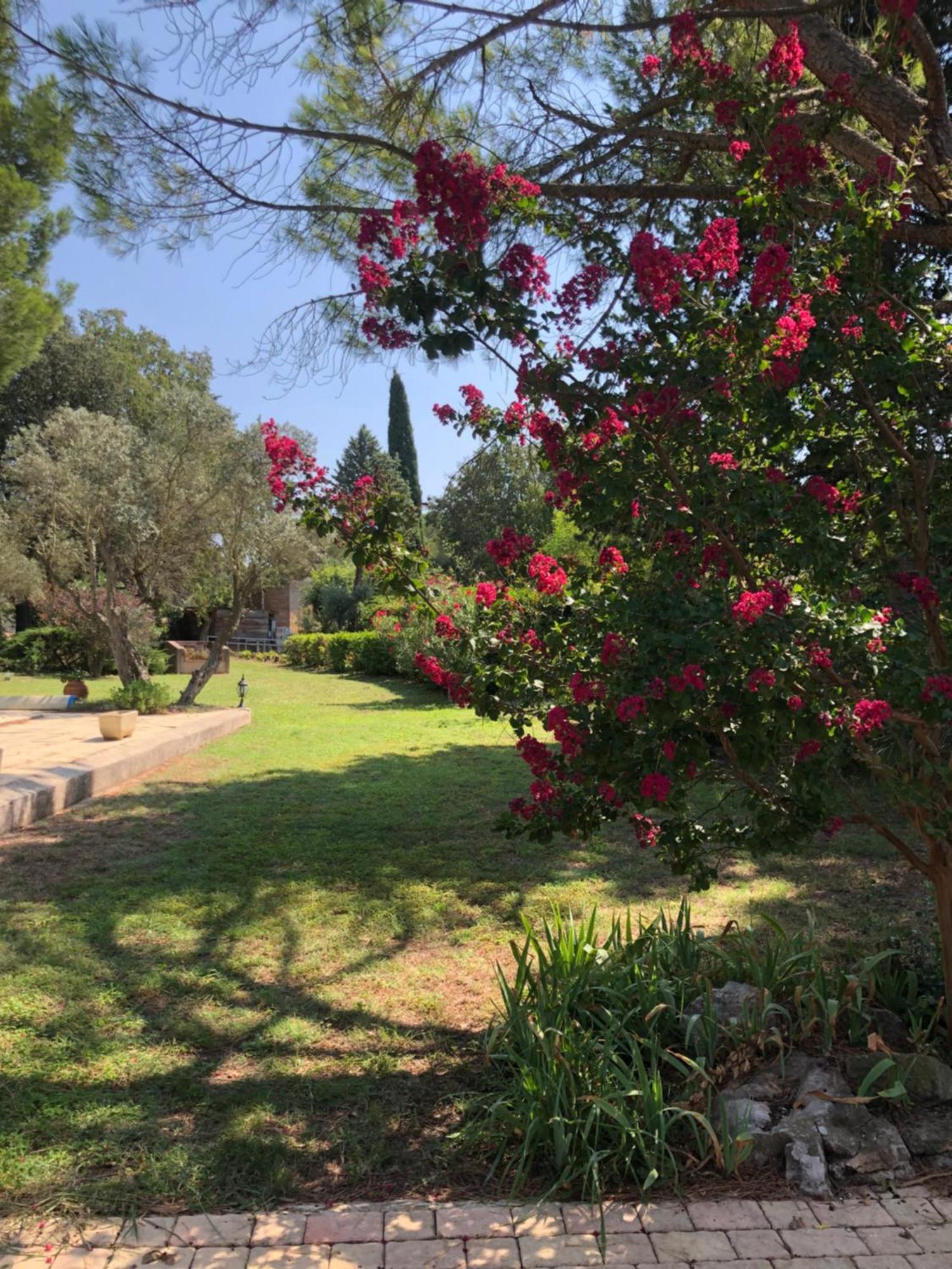 Gite En Provence Dans Grand Jardin Avec Piscine Partagee Cornillon-Confoux Eksteriør billede
